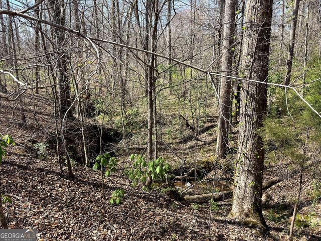 1125 Pecks Road, Dahlonega, GA 30533