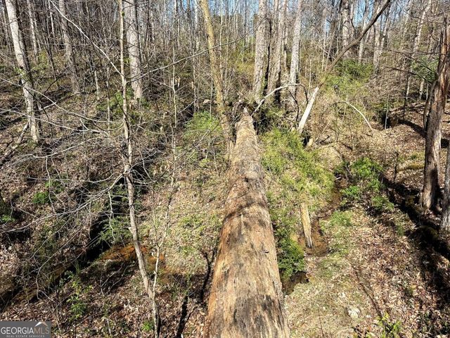 1125 Pecks Road, Dahlonega, GA 30533