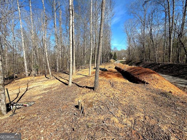 1125 Pecks Road, Dahlonega, GA 30533