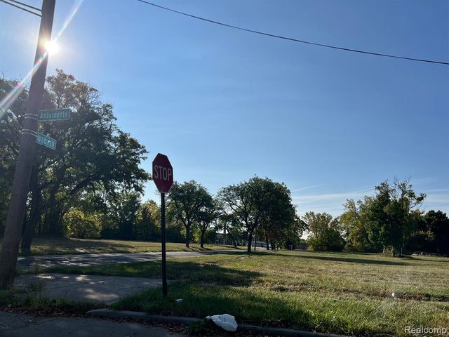 2105 Antoinette Street, Detroit, MI 48208