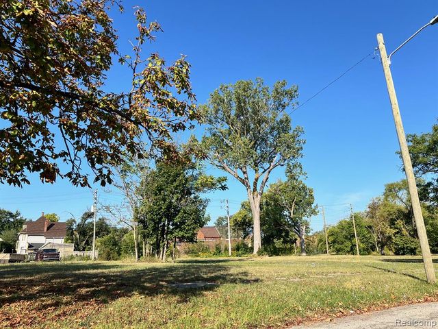 2105 Antoinette Street, Detroit, MI 48208