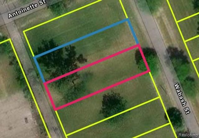 2105 Antoinette Street, Detroit, MI 48208