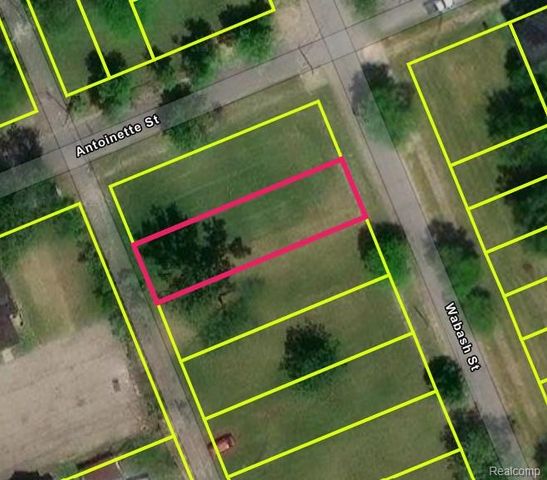 2105 Antoinette Street, Detroit, MI 48208