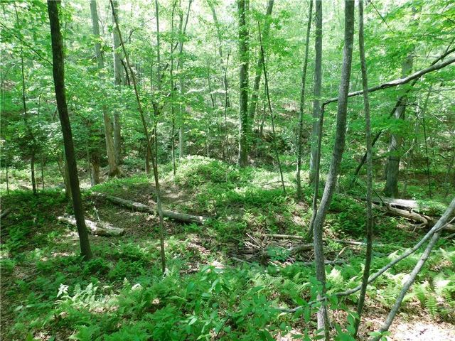 192 Wild Deer Trace, Dawsonville, GA 30534