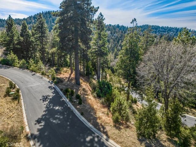 109 MILL POND, Lake Arrowhead, CA 92352