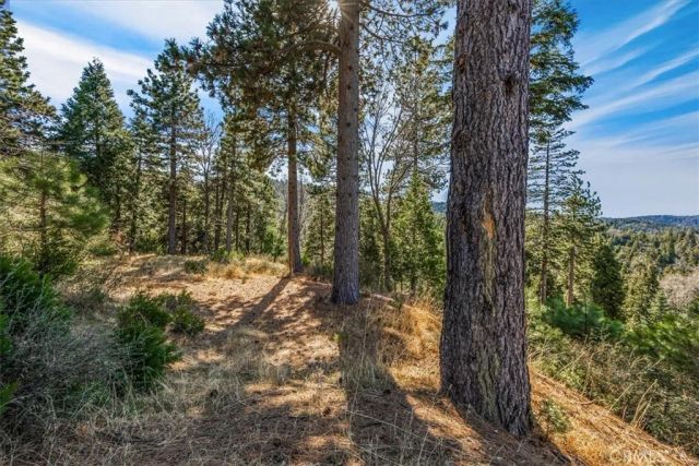 109 MILL POND, Lake Arrowhead, CA 92352
