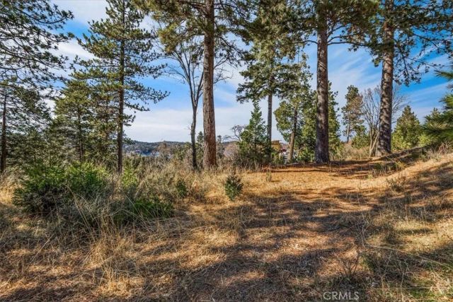 109 MILL POND, Lake Arrowhead, CA 92352