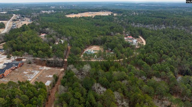 1444 Reedy O Smith Road, Leesville, SC 29070