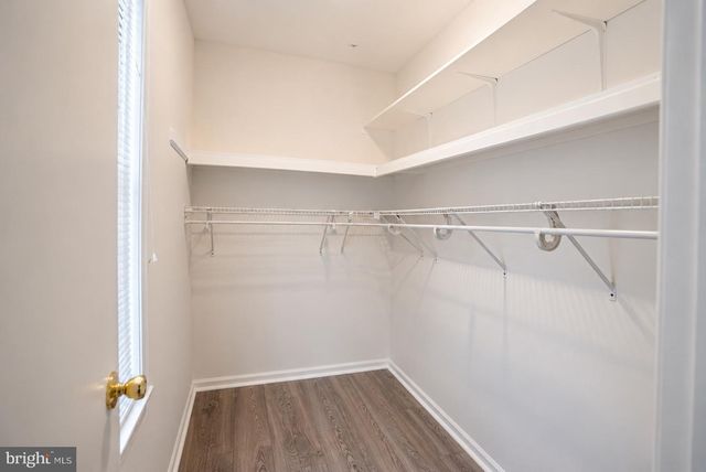71 OAKCREST LN, Westampton, NJ 08060