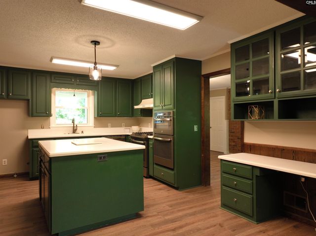 130 Pinewood Drive, Chapin, SC 29036