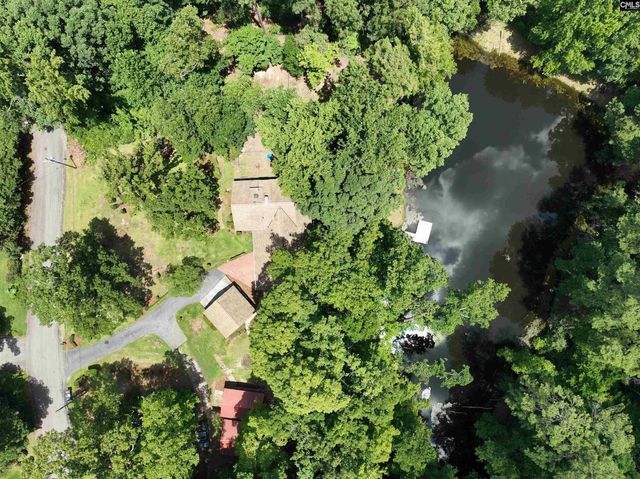 130 Pinewood Drive, Chapin, SC 29036