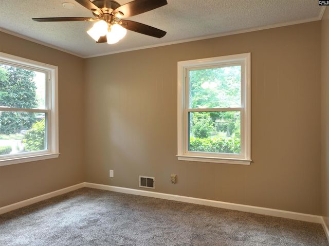 130 Pinewood Drive, Chapin, SC 29036