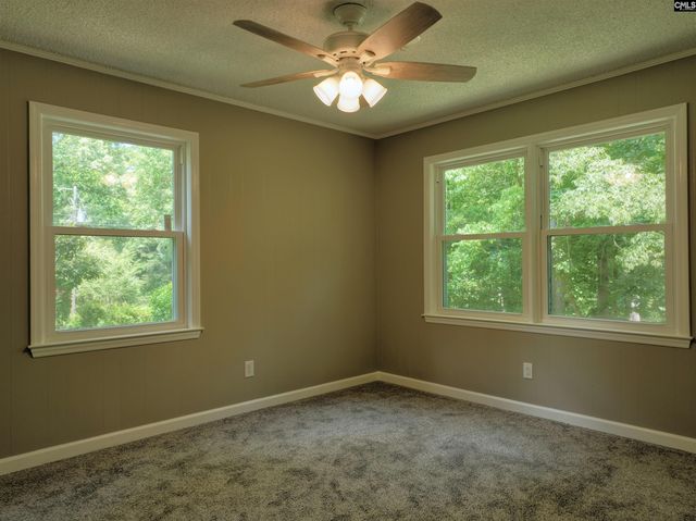 130 Pinewood Drive, Chapin, SC 29036