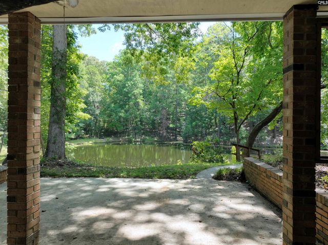 130 Pinewood Drive, Chapin, SC 29036