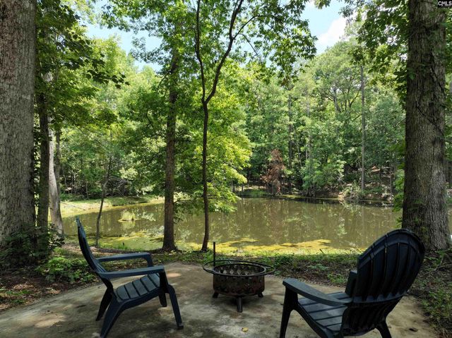 130 Pinewood Drive, Chapin, SC 29036