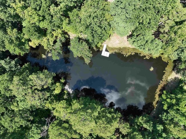 130 Pinewood Drive, Chapin, SC 29036