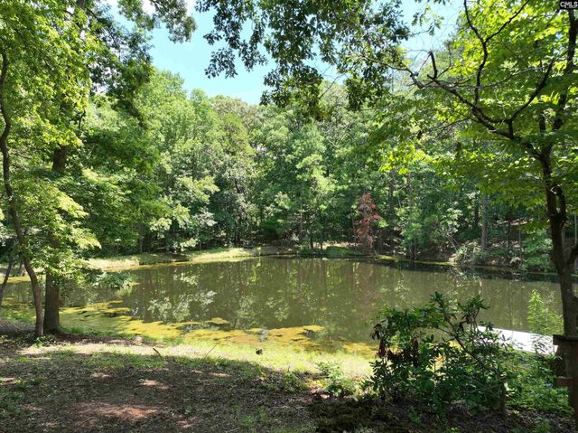 130 Pinewood Drive, Chapin, SC 29036