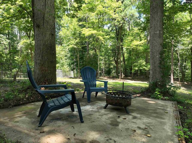 130 Pinewood Drive, Chapin, SC 29036