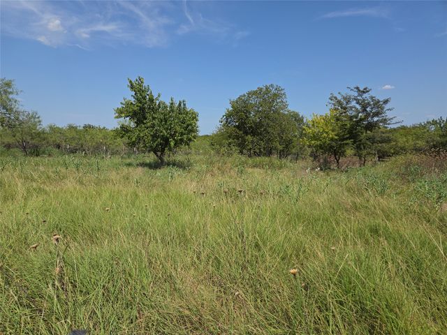 Lot 5-R4 SW County Road, Corsicana, TX 75110