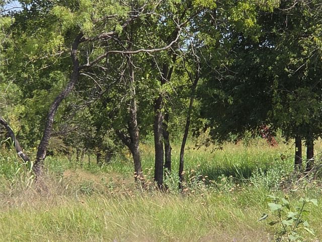 Lot 5-R4 SW County Road, Corsicana, TX 75110