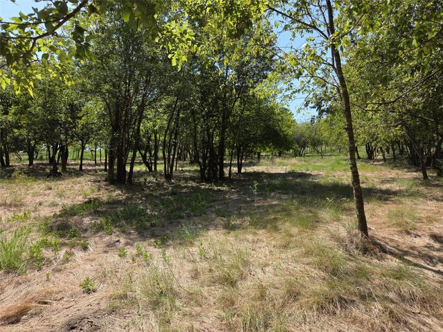 Lot 5-R4 SW County Road, Corsicana, TX 75110