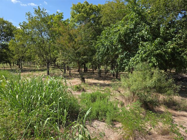 Lot 5-R4 SW County Road, Corsicana, TX 75110