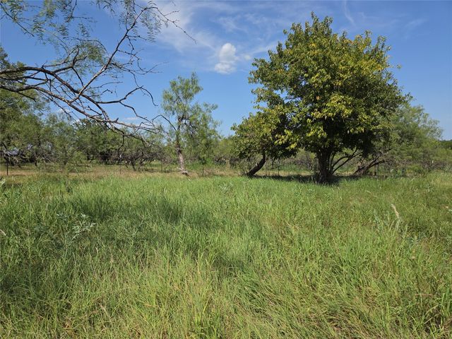 Lot 5-R4 SW County Road, Corsicana, TX 75110