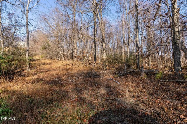 Tbd Highway 81 Lot 4, Jonesborough, TN 37659