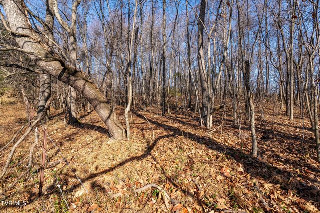 Tbd Highway 81 Lot 4, Jonesborough, TN 37659