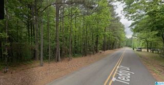 0 TEDDY DRIVE, Mccalla, AL 35111