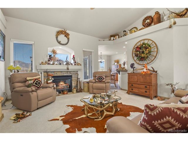 1009 Slate Way, Monument, CO 80132