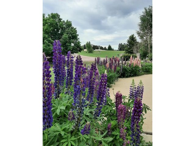 1009 Slate Way, Monument, CO 80132