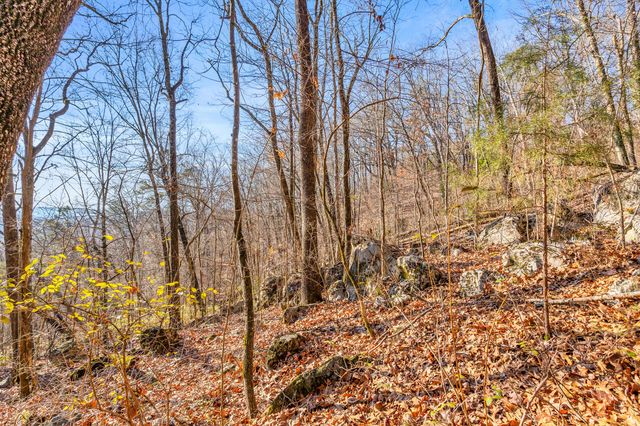 0 Lookout Street, Chattanooga, TN 37409