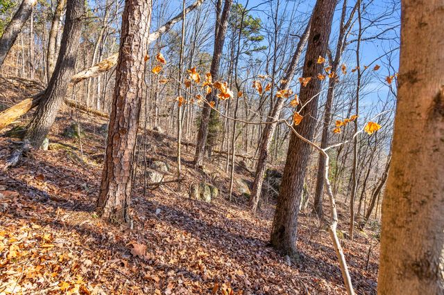 0 Lookout Street, Chattanooga, TN 37409