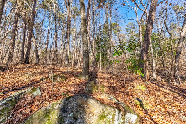 0 Lookout Street, Chattanooga, TN 37409