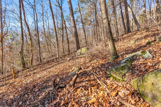 0 Lookout Street, Chattanooga, TN 37409