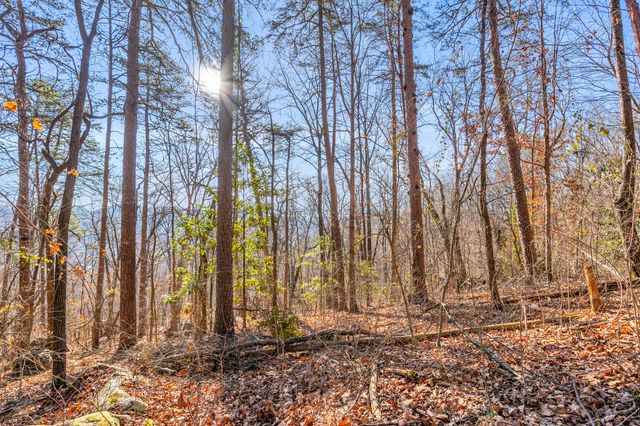 0 Lookout Street, Chattanooga, TN 37409