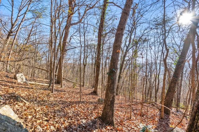 0 Lookout Street, Chattanooga, TN 37409