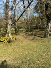 0 Lake Drive, Columbia, TN 38401