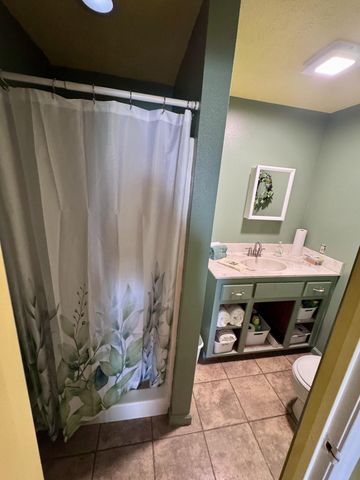 363 County Road 234, Alton, MO 65606