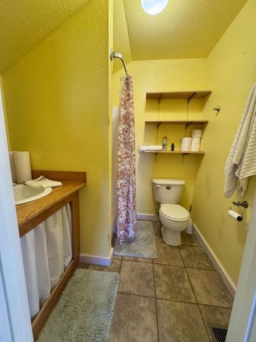 363 County Road 234, Alton, MO 65606