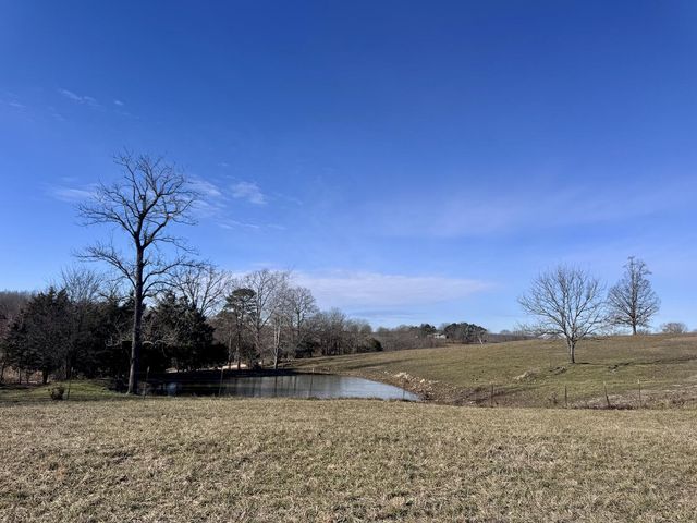 363 County Road 234, Alton, MO 65606