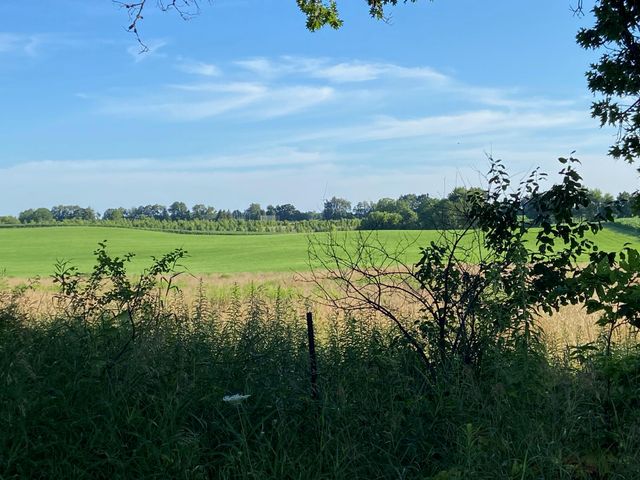 9341 EF Avenue E, Richland Twp, MI 49083