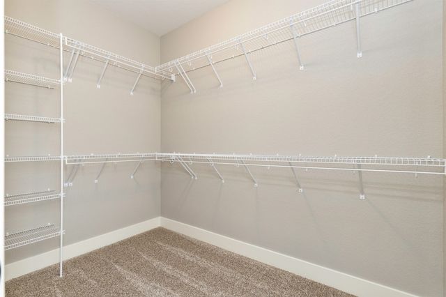 708 NE Doe Pointe Drive, Ankeny, IA 50021