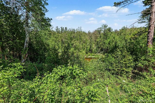 1107 Northern Trail, Alger, MI 48610