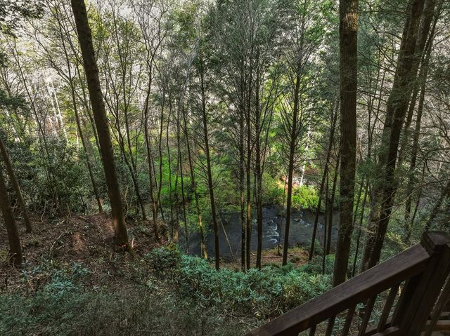 58 River Road, Cherry Log, GA 30522