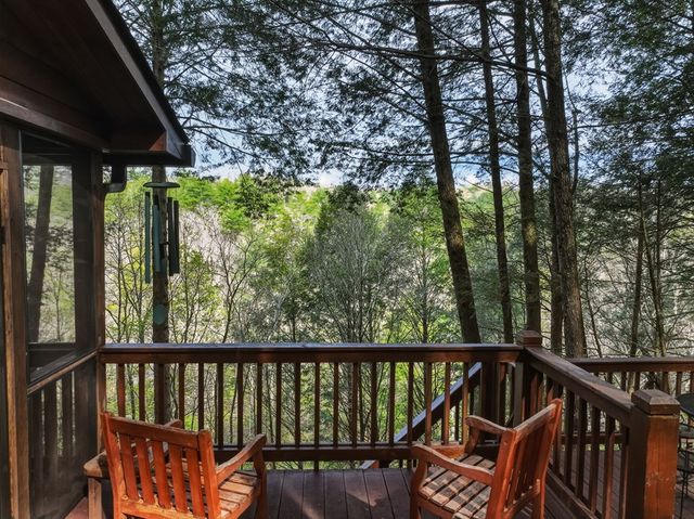 58 River Road, Cherry Log, GA 30522