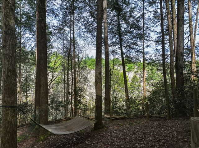 58 River Road, Cherry Log, GA 30522
