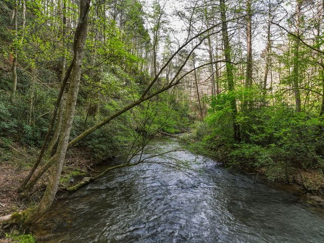 58 River Road, Cherry Log, GA 30522