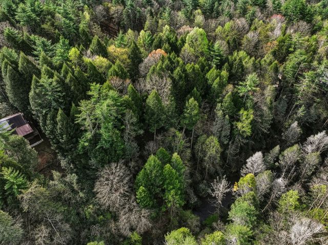 58 River Road, Cherry Log, GA 30522